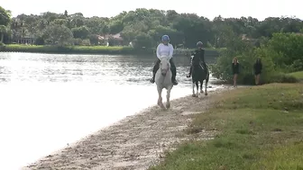 You can swim with a horse along this Florida beach