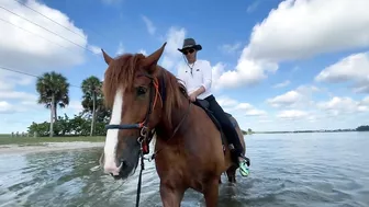 You can swim with a horse along this Florida beach