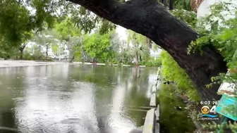 Heavy rain soaks Miami Beach