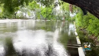 Heavy rain soaks Miami Beach