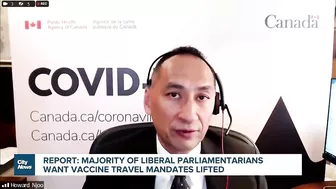 Report: majority of Liberal MPs want vaccine travel mandates gone