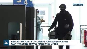 Report: majority of Liberal MPs want vaccine travel mandates gone