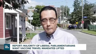 Report: majority of Liberal MPs want vaccine travel mandates gone