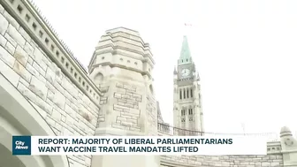 Report: majority of Liberal MPs want vaccine travel mandates gone