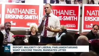 Report: majority of Liberal MPs want vaccine travel mandates gone