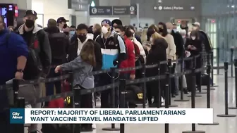 Report: majority of Liberal MPs want vaccine travel mandates gone