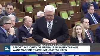 Report: majority of Liberal MPs want vaccine travel mandates gone