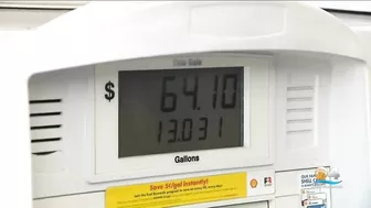 Families thinking twice about summertime travel due to surging gas prices