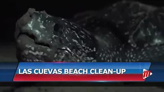 Las Cuevas Beach Clean-Up