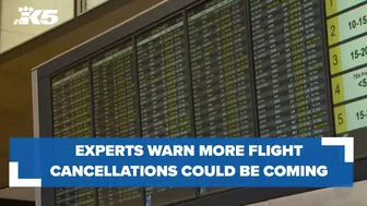 Travel experts warn flight cancellations could continue as summer travel heats up