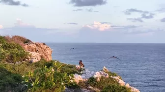 Our Dream Cayman Brac Beach Wedding