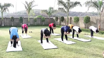 International Yoga Day 2022 - योग दिवस की अनंत शुभकामनाये | आओ साथ करे योग - और रहे निरोग |