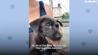 Woman Finds Abandoned 6 Week Old Puppy On The Beach | The Dodo Soulmates