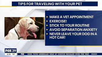 Preparing to travel with your pets this summer