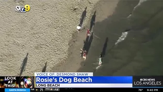 Look At This: Rosie's Dog Beach