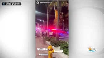 Arrest Made In Shooting At Clevelander South Beach Hotel