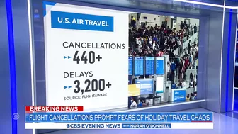 Flight cancellations prompt fears of holiday travel chaos