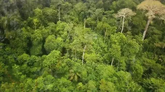 Where The Road Ends: Crossing the Darién Gap | Official Trailer