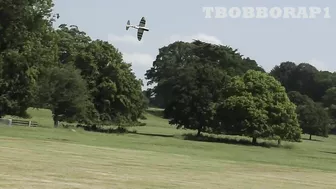 RC PLANE CRASH - CY MODELS P-47 THUNDERBOLT - SAITO FG90 R3 - STRIKES A TREE AT WESTON PARK - 2022