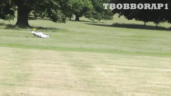 RC PLANE CRASH - CY MODELS P-47 THUNDERBOLT - SAITO FG90 R3 - STRIKES A TREE AT WESTON PARK - 2022