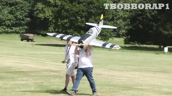 RC PLANE CRASH - CY MODELS P-47 THUNDERBOLT - SAITO FG90 R3 - STRIKES A TREE AT WESTON PARK - 2022