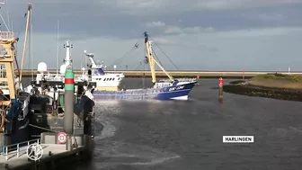 Boerenprotesten; distributiecentra supermarkten en havens geblokkeerd | Hart van Nederland