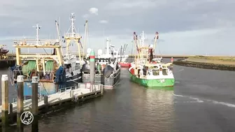 Boerenprotesten; distributiecentra supermarkten en havens geblokkeerd | Hart van Nederland