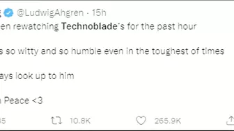 Youtubers React to Technoblade's Death