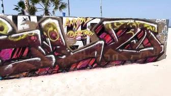 Venice Beach Graffiti Pit