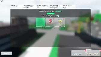 I Spent 15k Robux On Custom Nametags... (Roblox Combat Warriors)