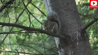 Bilal Tries Sulky Yoga