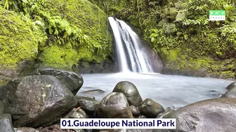 14 Top-Rated Tourist Attractions in Guadeloupe | Travel Video | Travel Guide | SKY Travel