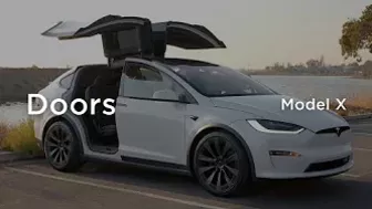 Doors | Model X