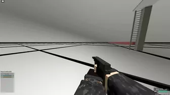 I Made The ZIP-22 Shoot NTW-20 Bullets in Phantom Forces