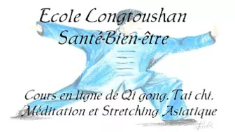 Ecole de Qi gong, Tai chi, méditation et stretching en ligne