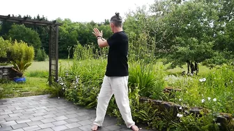 Ecole de Qi gong, Tai chi, méditation et stretching en ligne