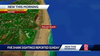 5 shark sightings reported off Cape beach