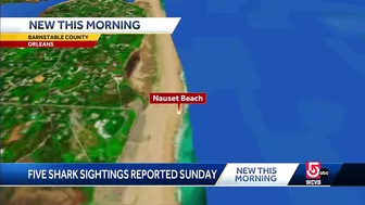 5 shark sightings reported off Cape beach