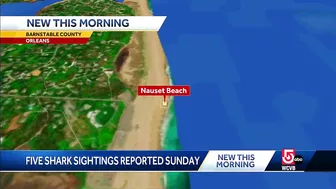 5 shark sightings reported off Cape beach