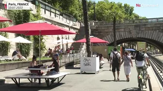 Life's a beach on the banks of the Seine in Paris