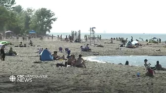 Vancouver wants its beach logs back