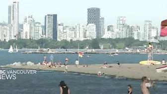 Vancouver wants its beach logs back