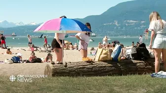 Vancouver wants its beach logs back