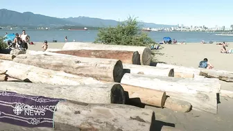 Vancouver wants its beach logs back