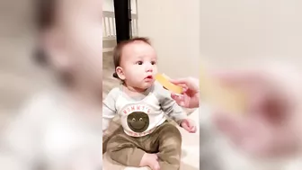 Funny Baby Loves Food - Babies Eating Compilation