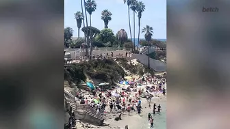 Sea Lions Chasing People Off Beach