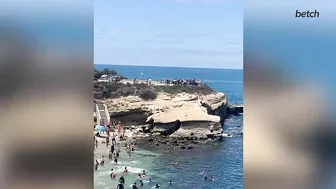 Sea Lions Chasing People Off Beach