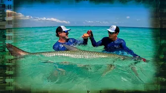 BUCKET LIST FISHING ADVENTURES: GIANT TARPON ON THE BEACH