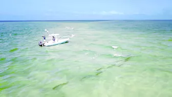 BUCKET LIST FISHING ADVENTURES: GIANT TARPON ON THE BEACH