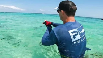 BUCKET LIST FISHING ADVENTURES: GIANT TARPON ON THE BEACH